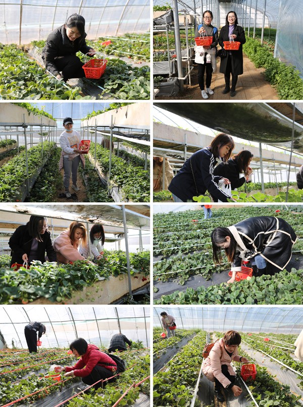 图片关键词 图片关键词